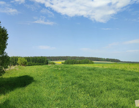 Rolny na sprzedaż, Gdański (Pow.) Trąbki Wielkie (Gm.) Gołębiewo Wielkie, 189 000 zł, 3403 m2, 189