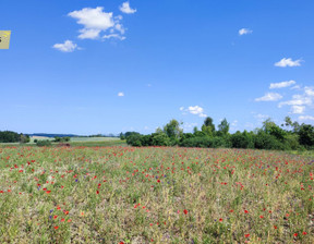 Działka na sprzedaż, Gdański (pow.) Trąbki Wielkie (gm.) Trąbki Wielkie, 243 000 zł, 3004 m2, 203