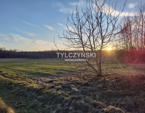 Działka na sprzedaż, Grodziski Żabia Wola Kaleń, 1 599 000 zł, 40 000 m2, 137/15827/OGS