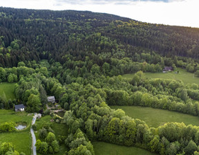 Dom na sprzedaż, Kłodzki Polanica-Zdrój, 4 000 000 zł, 196 m2, 747920