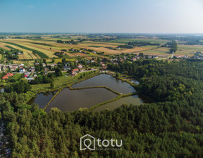 Handlowo-usługowy na sprzedaż, Lubelski Niedrzwica Duża Krężnica Jara, 3 000 000 zł, 50 420 m2, 226935