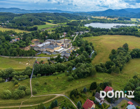 Działka na sprzedaż, Mysłakowice Dąbrowica, 9 900 000 zł, 46 303 m2, 881204