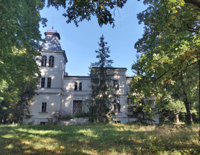Dom na sprzedaż, Leszczyński (pow.) Lipno (gm.), 990 000 zł, 670 m2, 158