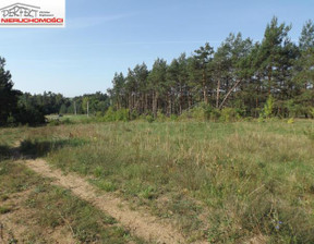 Handlowo-usługowy na sprzedaż, Brodnicki Brzozie Wielki Głęboczek, 150 000 zł, 7200 m2, 1403