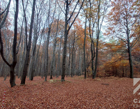 Leśne na sprzedaż, Dąbrowa Górnicza Ujejsce, 54 648 zł, 7920 m2, 680405