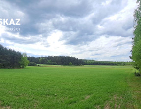 Działka na sprzedaż, Myszkowski Niegowa Ogorzelnik, 175 000 zł, 16 492 m2, DOM885421