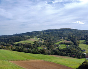 Działka na sprzedaż, Tarnowski Zakliczyn Olszowa Olszowa, 150 000 zł, 4900 m2, DUD-GS-77