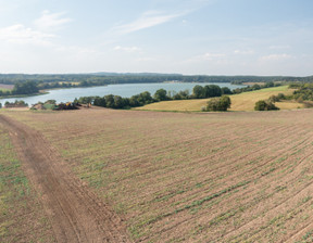 Rolny na sprzedaż, Lidzbarski (Pow.) Kiwity (Gm.) Żegoty, 1 250 000 zł, 50 000 m2, 29