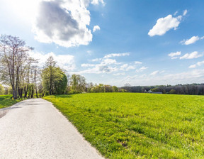 Działka na sprzedaż, Lubelski Wojciechów, 247 500 zł, 5500 m2, 313249