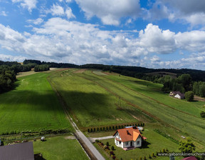 Działka na sprzedaż, Tarnowski Rzepiennik Strzyżewski Olszyny, 199 000 zł, 6000 m2, 22/GBN/DZS-95