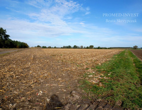 Działka na sprzedaż, Grodziski (Pow.) Granowo (Gm.) Strzępiń, 2 059 200 zł, 20 800 m2, 6