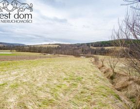 Działka na sprzedaż, Gorlicki Sękowa Wapienne, 150 000 zł, 2900 m2, 1420