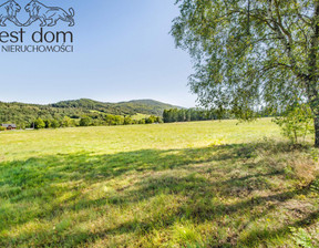 Działka na sprzedaż, Gorlicki Uście Gorlickie Hańczowa, 220 000 zł, 3893 m2, 1391