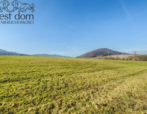 Budowlany na sprzedaż, Gorlicki Uście Gorlickie Hańczowa, 250 000 zł, 7100 m2, 1424