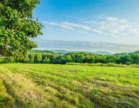 Działka na sprzedaż, Gorlicki Gorlice, 370 000 zł, 12 196 m2, 1189