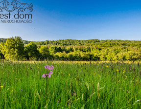 Działka na sprzedaż, Gorlicki Uście Gorlickie Ropki, 240 000 zł, 10 138 m2, 1175