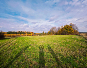 Budowlany-wielorodzinny na sprzedaż, Zawierciański Ogrodzieniec Kiełkowice Starowiejska, 990 000 zł, 18 520 m2, 335911