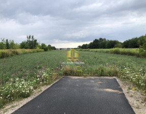 Działka na sprzedaż, Warszawa Ursynów Warszawa Ursynów Dawidy Zwykłe, 3 300 000 zł, 8250 m2, 928579