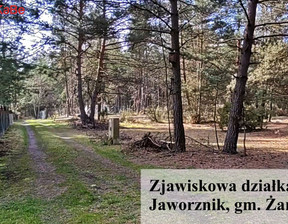Działka na sprzedaż, Myszkowski Żarki Jaworznik, 210 000 zł, 6970 m2, KABE-GS-206