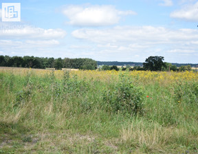 Budowlany na sprzedaż, Kartuski Kartuzy Kiełpino Długa, 595 250 zł, 2381 m2, NL032024/1