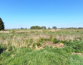 Budowlany na sprzedaż, Goleniowski Goleniów Modrzewie, 125 000 zł, 2666 m2, MNI21856