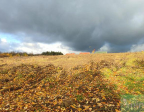 Działka na sprzedaż, Goleniowski Goleniów, 166 616 zł, 1042 m2, MNI21965