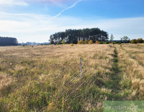 Budowlany na sprzedaż, Goleniowski Goleniów Białuń, 163 345 zł, 2513 m2, MNI21756