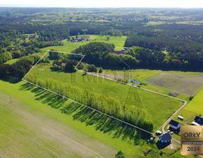 Działka na sprzedaż, Wejherowski Wejherowo Bieszkowice Wiejska, 1 230 000 zł, 10 000 m2, 209140