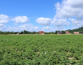 Działka na sprzedaż, Wielicki (pow.) Gdów (gm.) Winiary, 1 520 000 zł, 10 200 m2, 220