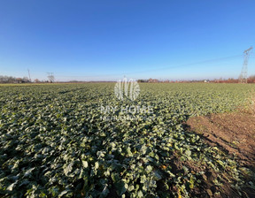 Rolny na sprzedaż, Grodziski Baranów, 797 500 zł, 31 900 m2, 6/15771/OGS