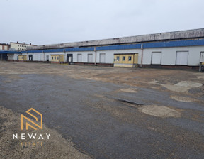 Magazyn do wynajęcia, Dębicki Dębica, 8000 zł, 400 m2, NE943105