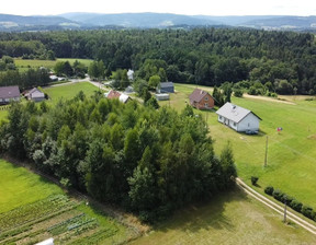 Działka na sprzedaż, Gorlicki (pow.) Gorlice (gm.), 199 000 zł, 4120 m2, 153