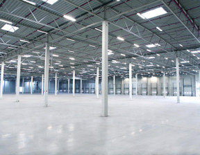 Magazyn do wynajęcia, Bolesławiecki Bolesławiec, 72 000 zł, 4000 m2, 137