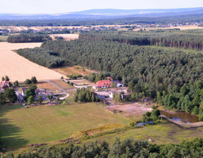 Dom na sprzedaż, Kielecki Daleszyce Szczecno Kocieczyn, 499 000 zł, 290 m2, 50/15646/ODS