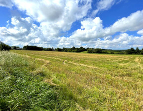 Działka na sprzedaż, Wejherowski Gniewino, 480 000 zł, 4300 m2, CP1404724