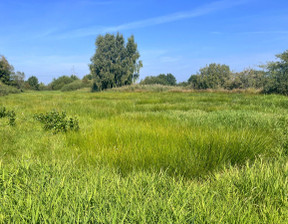 Działka na sprzedaż, Pucki Puck, 99 000 zł, 3413 m2, CP1602791