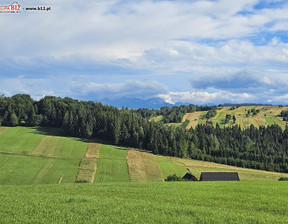 Działka na sprzedaż, Nowotarski Dursztyn, 1 575 000 zł, 8075 m2, 48958