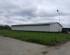 Komercyjne do wynajęcia, Trzebnicki Wisznia Mała Psary Główna, 3000 zł, 150 m2, 829726