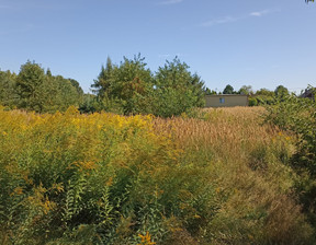 Działka na sprzedaż, Ruda Śląska Kłodnica Żytnia, 489 000 zł, 2933 m2, 827619