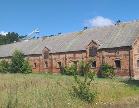 Fabryka, zakład na sprzedaż, Gryfiński (Pow.) Cedynia (Gm.) Lubiechów Górny, 1 100 000 zł, 1235 m2, 538