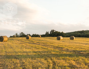 Rolny na sprzedaż, Piaseczyński Piaseczno Głosków, 80 000 zł, 7200 m2, BLN212204