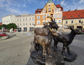 Lokal do wynajęcia, Mikołowski Mikołów Jana Pawła II, 1000 zł, 40 m2, 129/6076/OLW