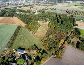 Działka na sprzedaż, Nowodworski Nasielsk Mogowo, 1 549 000 zł, 73 000 m2, EC697705