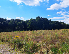 Działka na sprzedaż, Tarnowski Wojnicz, 168 000 zł, 2400 m2, 20/13950/OGS