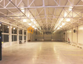 Magazyn, hala do wynajęcia, Legnica Jaworzyńska, 22 500 zł, 1000 m2, 161/6038/OOW