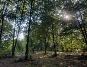 Działka na sprzedaż, Żyrardowski (Pow.) Radziejowice (Gm.) Adamów-Wieś Aleja Świerkowa, 394 000 zł, 2228 m2, 8