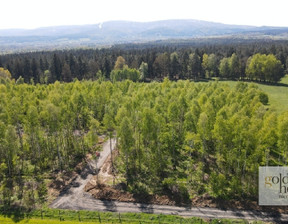 Budowlany na sprzedaż, Lubański Leśna Świecie, 104 500 zł, 950 m2, 4562