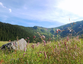 Mieszkanie na sprzedaż, Tatrzański Kościelisko Mocarni, 1 439 560 zł, 62,05 m2, 4735/3923/OMS