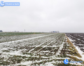 Działka na sprzedaż, Krakowski Iwanowice Sieciechowice, 75 000 zł, 3332 m2, 208/3923/OGS