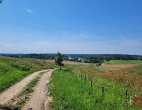 Działka na sprzedaż, Ełcki Stare Juchy Dobra Wola, 125 000 zł, 3669 m2, 992506/EM5/DZS-2883